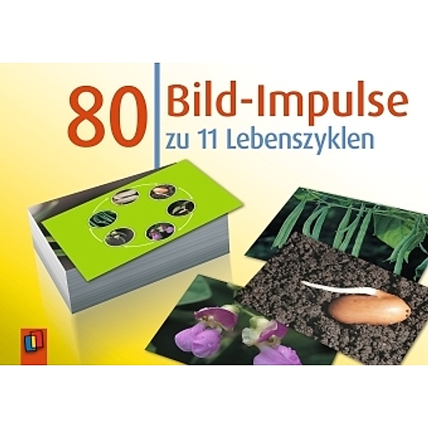 80 Bild-Impulse zu 11 Lebenszyklen, Creative Teaching Press Inc.