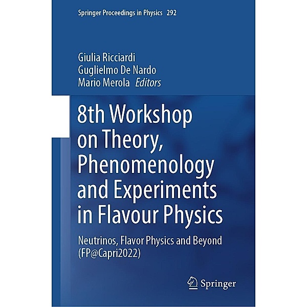 8th Workshop on Theory, Phenomenology and Experiments in Flavour Physics / Springer Proceedings in Physics Bd.292