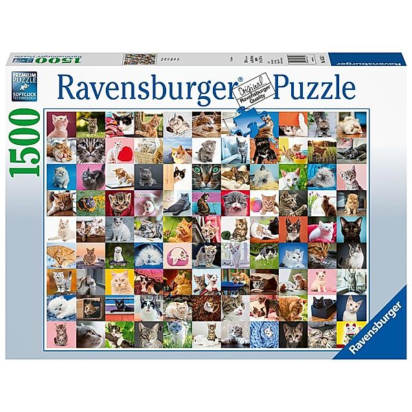 99 Katzen (Puzzle)
