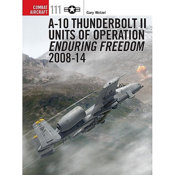 A-10 Thunderbolt II Units of Operation Enduring Freedom 2008-14, Gary Wetzel