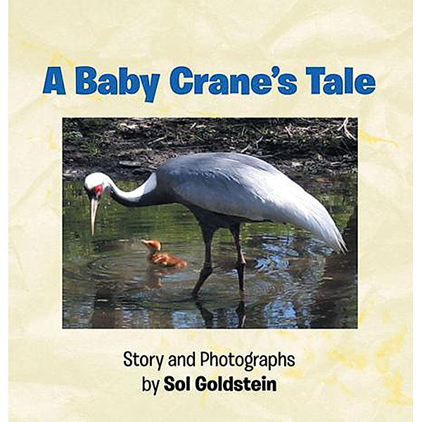 A Baby Crane's Tale, Sol Goldstein