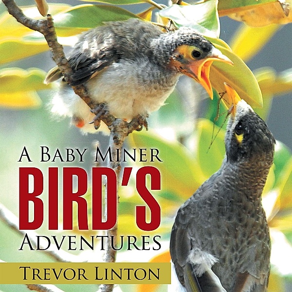 A Baby Miner Bird'S Adventures, Trevor Linton