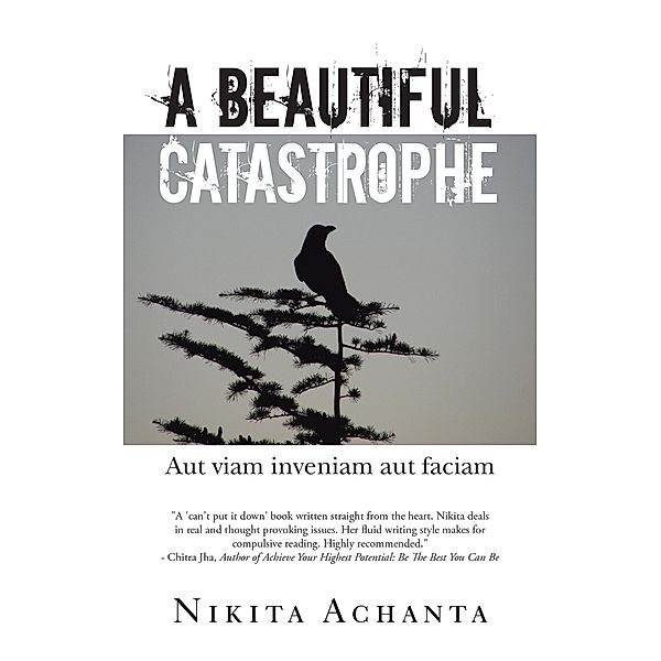 A Beautiful Catastrophe, Nikita Achanta