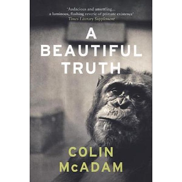 A Beautiful Truth, Colin McAdam