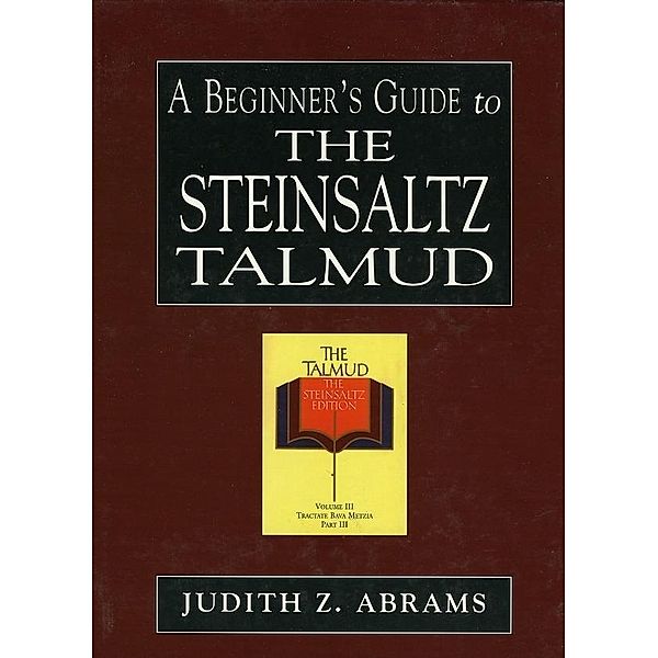 A Beginner's Guide to the Steinsaltz Talmud, Judith Z. Abrams