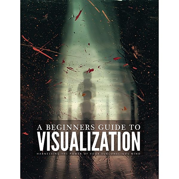 A Beginners Guide To Visualization / 1, Tiago Silva