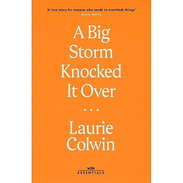 A Big Storm Knocked it Over / W&N Essentials, Laurie Colwin