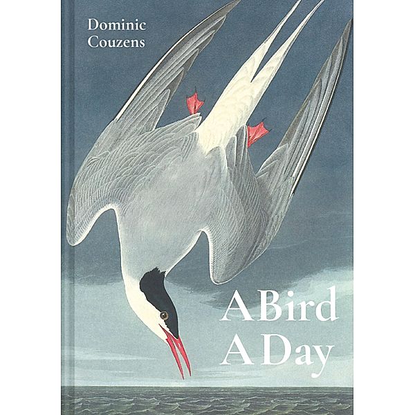 A Bird A Day, Dominic Couzens