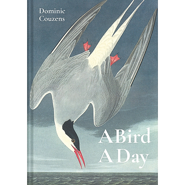 A Bird a Day, Dominic Couzens