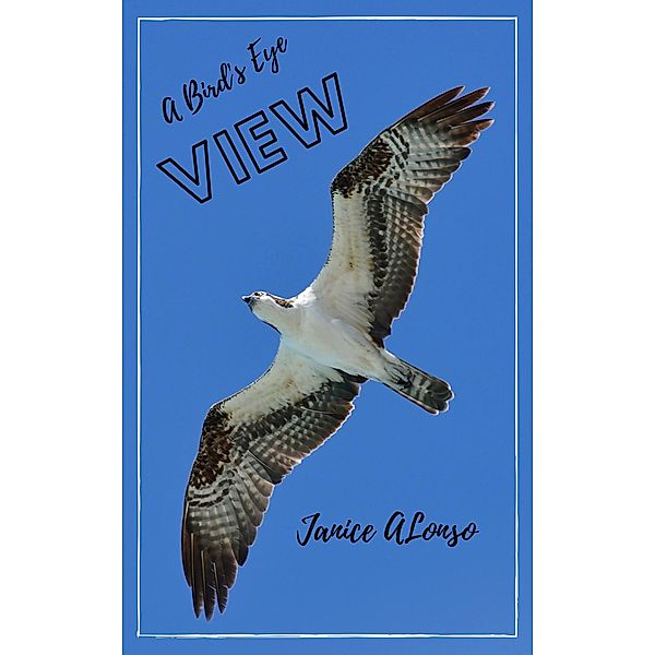 A Bird's-Eye View (Devotionals, #33) / Devotionals, Janice Alonso