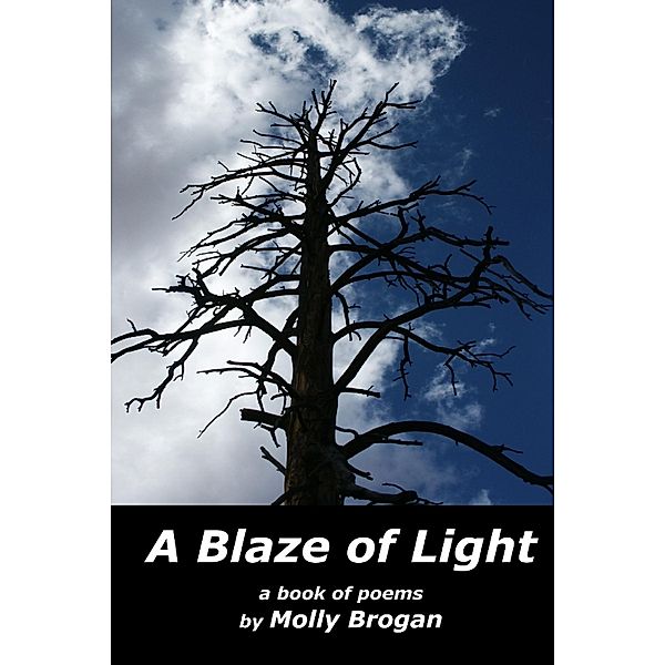 A Blaze of Light: A Book of Poems, Molly Brogan