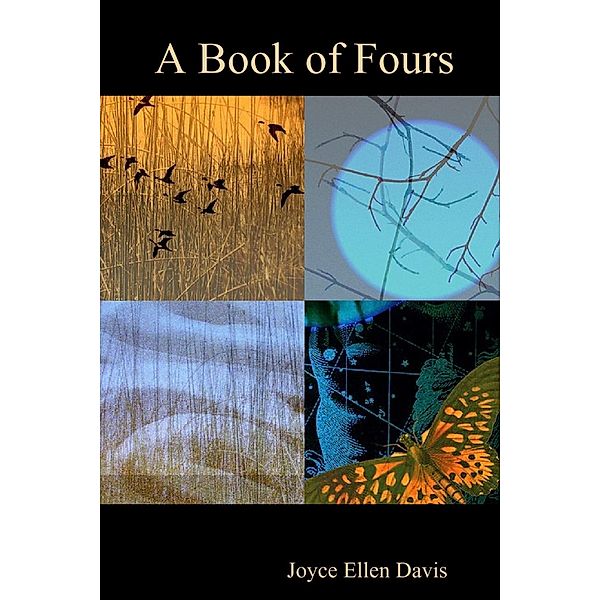 A Book of Fours, Joyce Ellen Davis