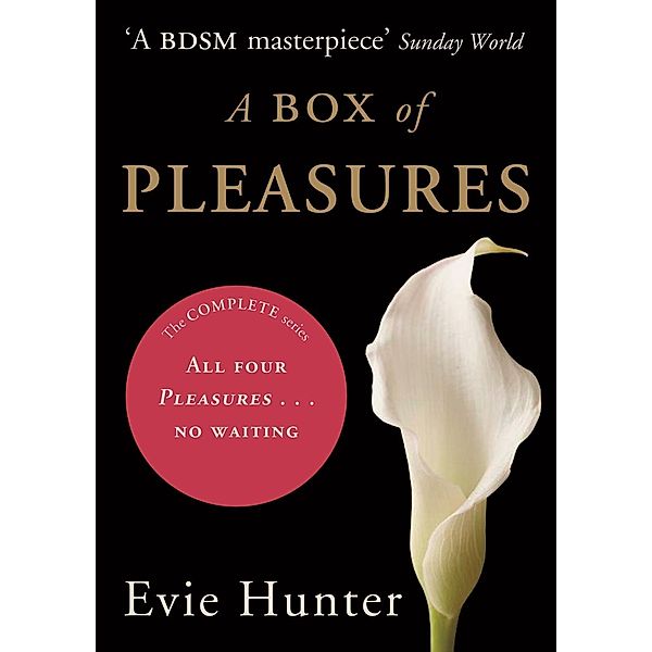 A Box of Pleasures, Evie Hunter