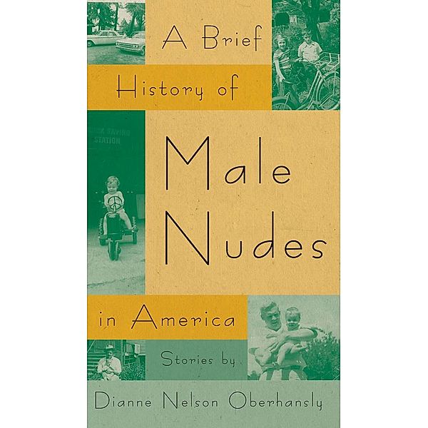 A Brief History of Male Nudes in America / Flannery O'Connor Award for Short Fiction Ser. Bd.25, Dianne Nelson Oberhansly