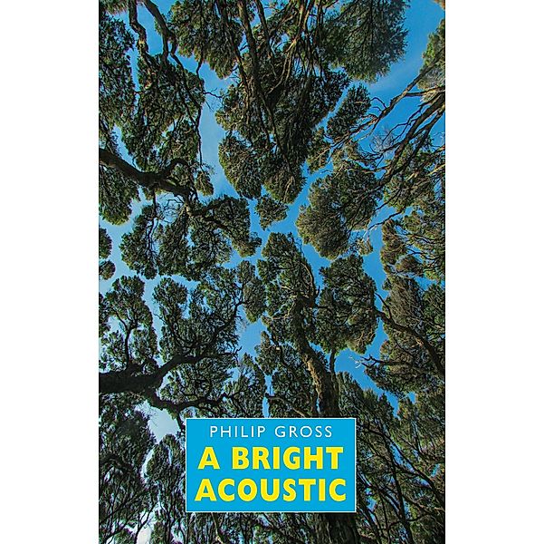 A Bright Acoustic, Philip Gross