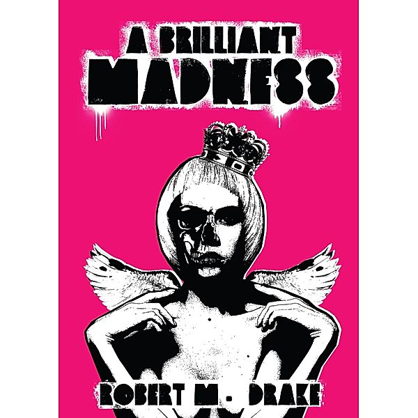 A Brilliant Madness / Robert M. Drake/Vintage Wild Bd.3, Robert M. Drake