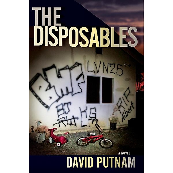 A Bruno Johnson Thriller: 1 The Disposables, David Putnam