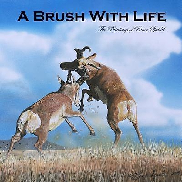 A Brush With Life, Bruce Speidel