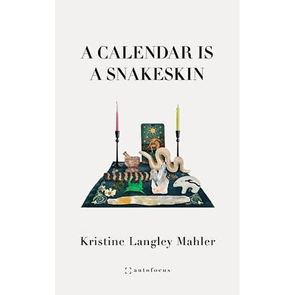 A Calendar Is A Snakeskin, Kristine Langley Mahler