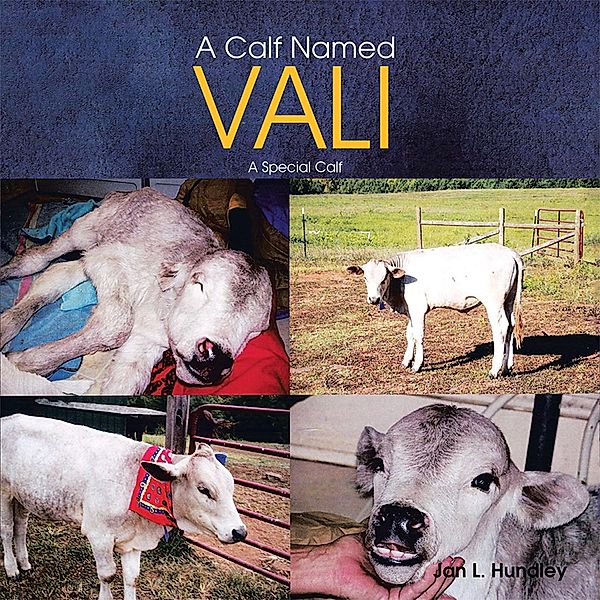 A Calf Named Vali, Jan L. Hundley