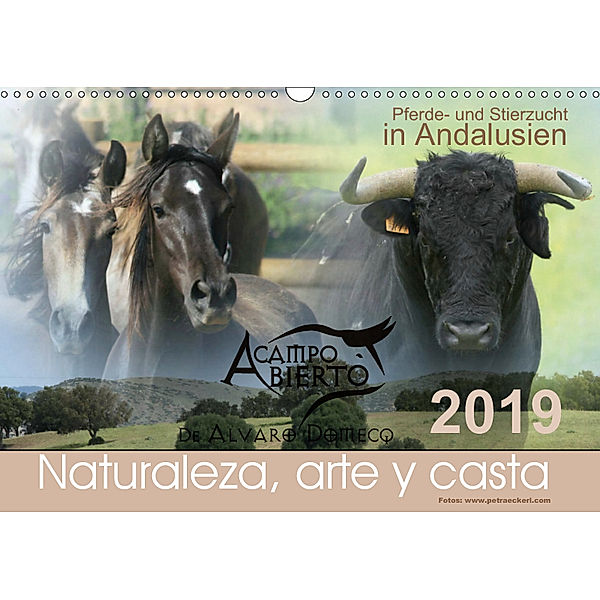 A CAMPO ABIERTO: Pferde- und Stierzucht in Andalusien (Wandkalender 2019 DIN A3 quer), Petra Eckerl