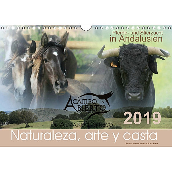 A CAMPO ABIERTO: Pferde- und Stierzucht in Andalusien (Wandkalender 2019 DIN A4 quer), Petra Eckerl