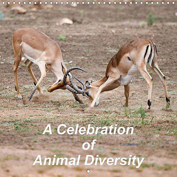 A Celebration of Animal Diversity (Wall Calendar 2023 300 × 300 mm Square), T. L. Treadway