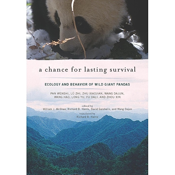 A Chance for Lasting Survival, Pan Wenshi