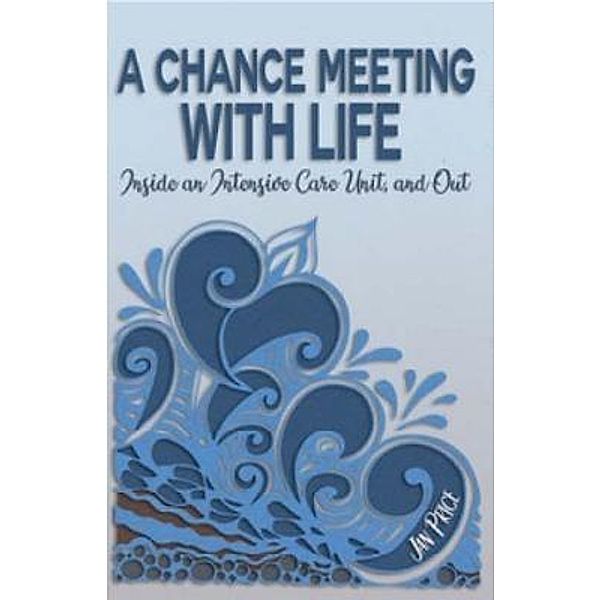 A Chance Meeting with Life, Jan Price