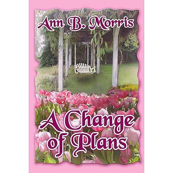 A Change of Plans, Ann B. Morris