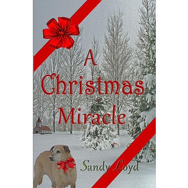 A Christmas Miracle (Christmas Miracle Series, #1), Sandy Loyd
