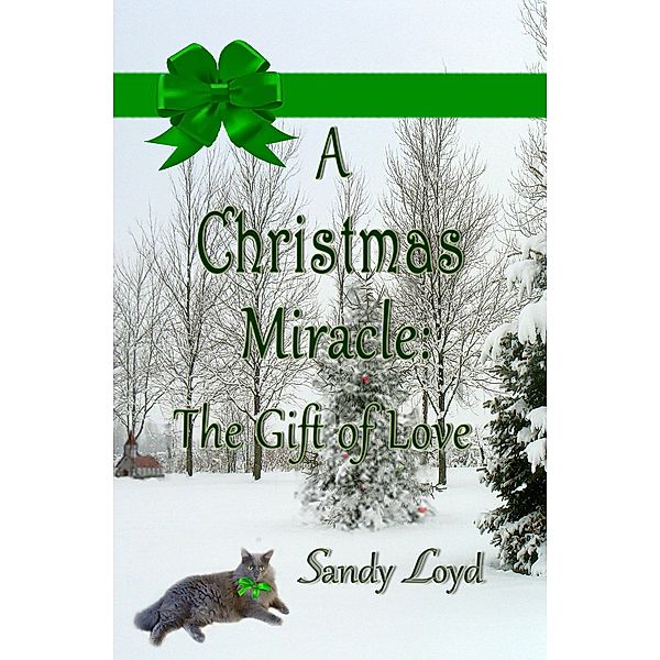 A Christmas Miracle: The Gift of Love (Christmas Miracle Series, #2) / Christmas Miracle Series, Sandy Loyd