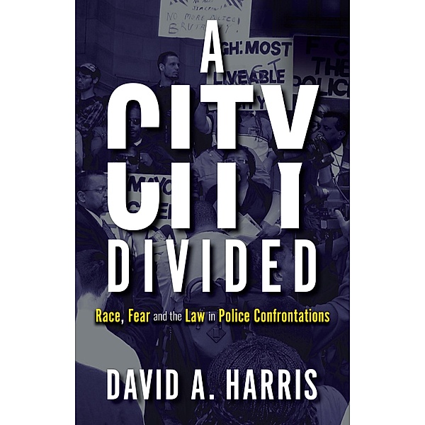 A City Divided: Race, Fear and the Law in Police Confrontations, David A. Harris