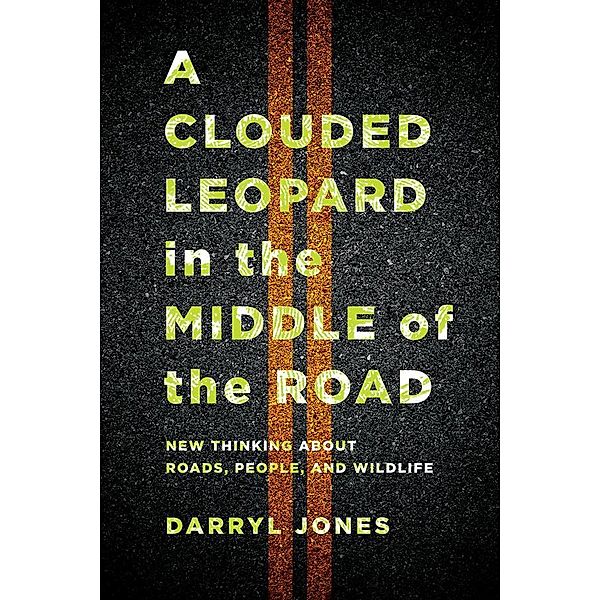 A Clouded Leopard in the Middle of the Road, Darryl Jones