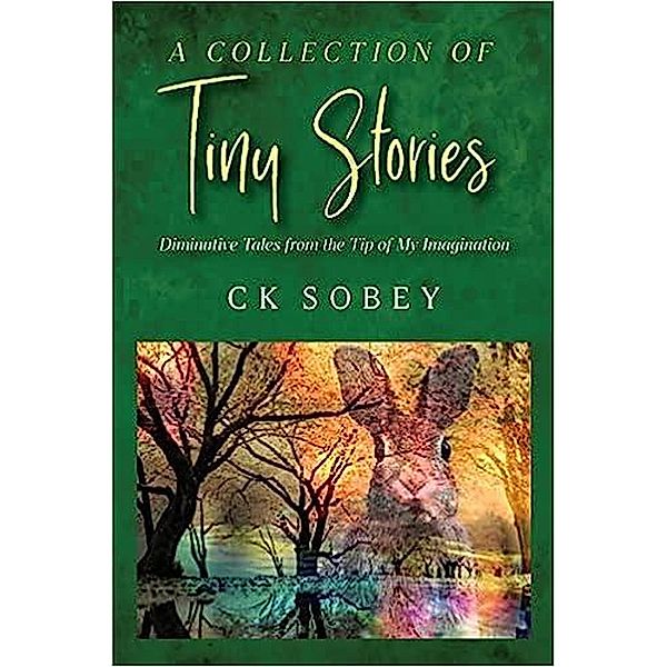 A Collection of Tiny Stories, Ck Sobey