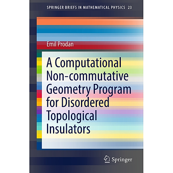 A Computational Non-commutative Geometry Program for Disordered Topological Insulators, Emil Prodan