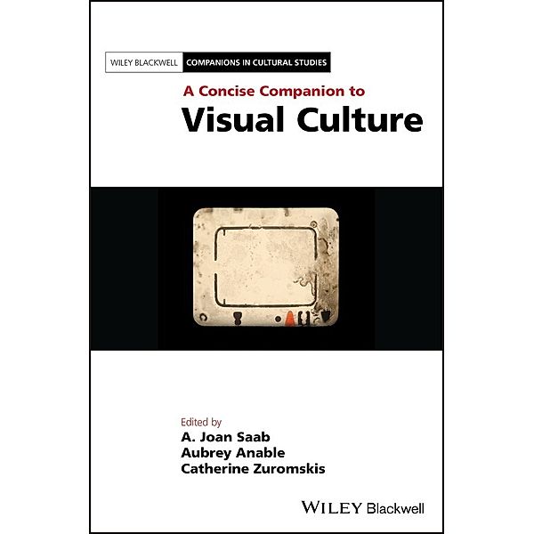 A Concise Companion to Visual Culture