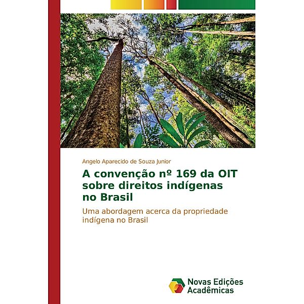 A convenção nº 169 da OIT sobre direitos indígenas no Brasil, Angelo Aparecido de Souza Junior