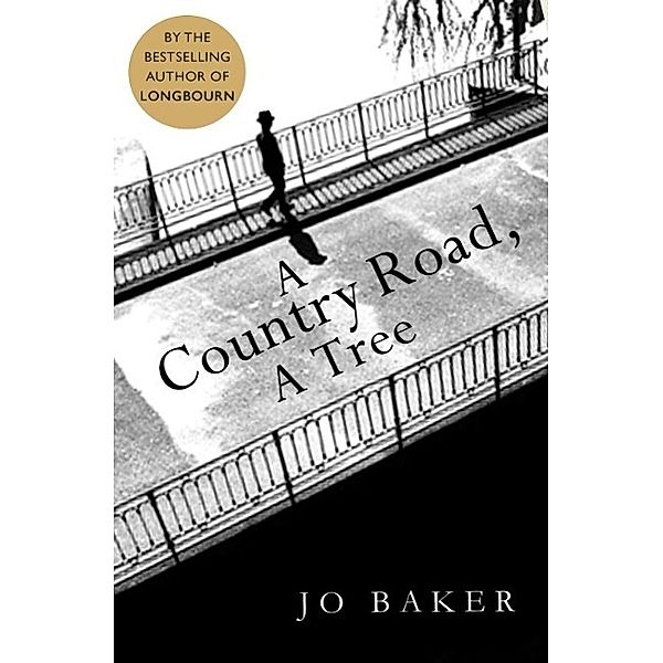 A Country Road, A Tree, Jo Baker