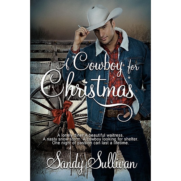A Cowboy for Christmas, Sandy Sullivan