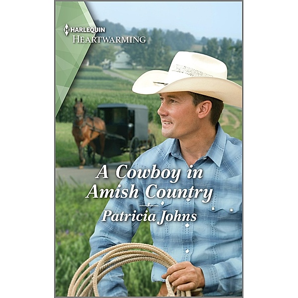 A Cowboy in Amish Country / Amish Country Haven Bd.2, Patricia Johns