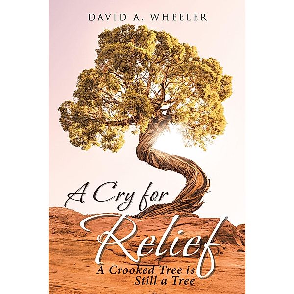 A Cry For Relief / Christian Faith Publishing, Inc., David A Wheeler