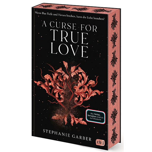 A Curse for True Love, Stephanie Garber