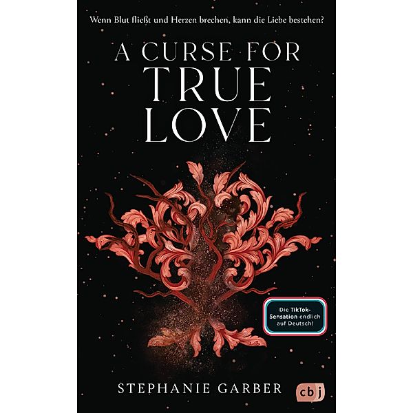 A Curse for True Love / Die Once-Upon-A-Broken-Heart-Reihe Bd.3, Stephanie Garber