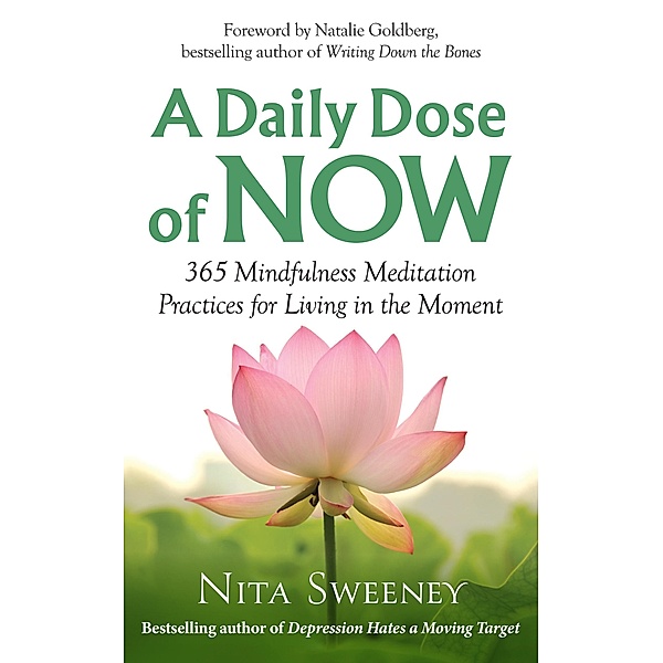 A Daily Dose of Now: 365 Mindfulness Meditation Practices for Living in the Moment, Nita Sweeney
