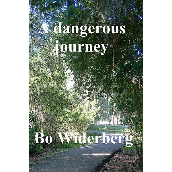A Dangerous Journey, Bo Widerberg