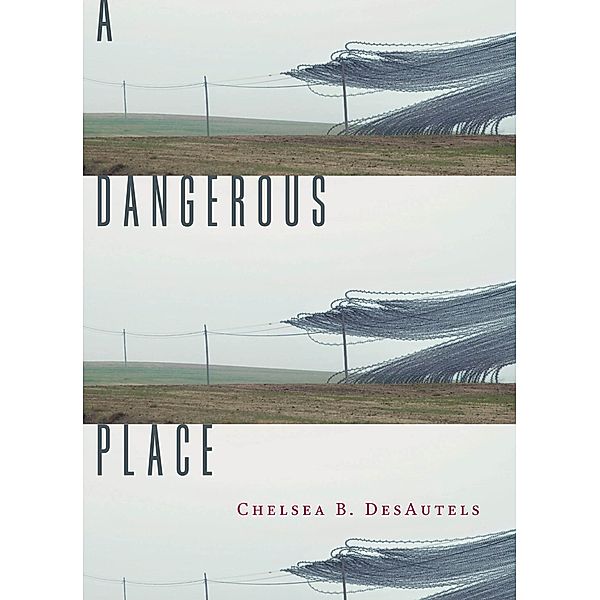 A Dangerous Place, Chelsea B. Desautels