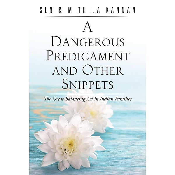 A Dangerous Predicament and Other Snippets, Sln, Mithila Kannan