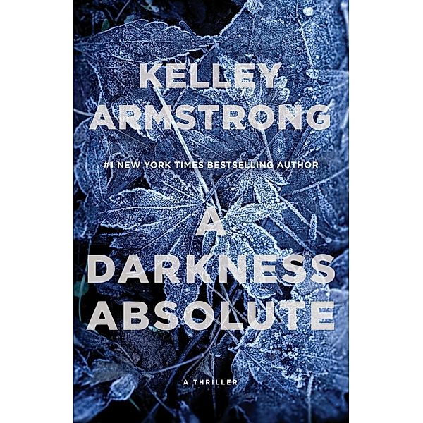 A Darkness Absolute / City of the Lost Bd.2, Kelley Armstrong