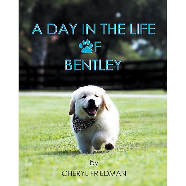 A Day in the Life of Bentley, Cheryl Friedman